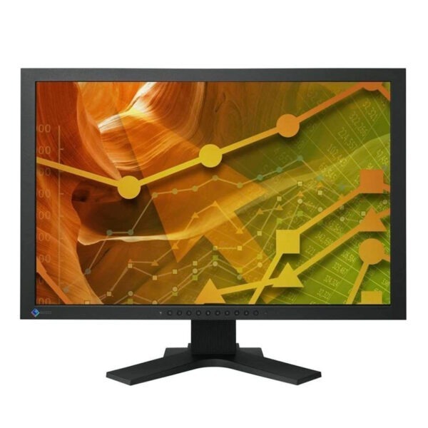 Monitor EIZO Flexscan S2402W - 24" VGA/DVI - Negro